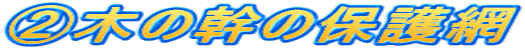 A木の幹の保護網