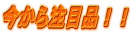 今から注目品!!