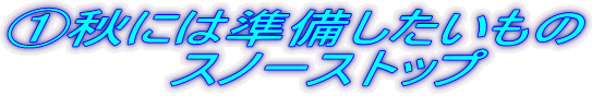 @秋には準備したいもの スノーストップ